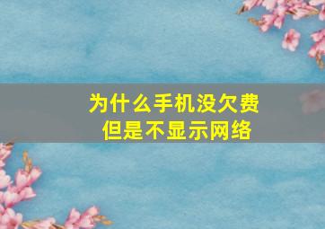 为什么手机没欠费 但是不显示网络